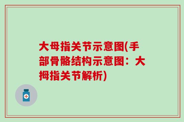 大母指关节示意图(手部骨骼结构示意图：大拇指关节解析)