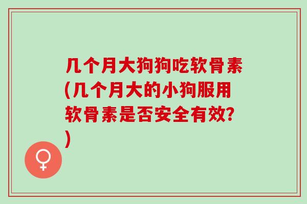 几个月大狗狗吃软骨素(几个月大的小狗服用软骨素是否安全有效？)