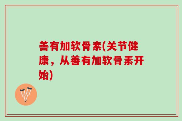 善有加软骨素(关节健康，从善有加软骨素开始)