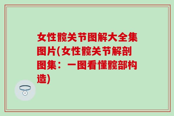 女性髋关节图解大全集图片(女性髋关节解剖图集：一图看懂髋部构造)