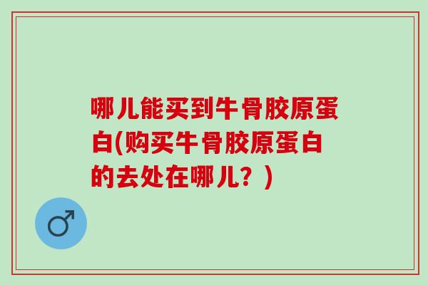 哪儿能买到牛骨胶原蛋白(购买牛骨胶原蛋白的去处在哪儿？)