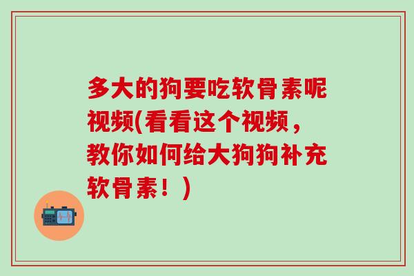 多大的狗要吃软骨素呢视频(看看这个视频，教你如何给大狗狗补充软骨素！)