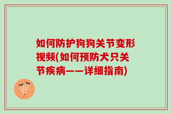 如何防护狗狗关节变形视频(如何预防犬只关节疾病——详细指南)
