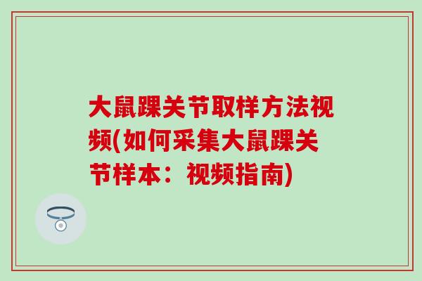 大鼠踝关节取样方法视频(如何采集大鼠踝关节样本：视频指南)