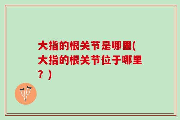 大指的根关节是哪里(大指的根关节位于哪里？)