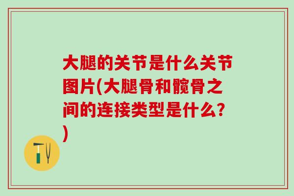 大腿的关节是什么关节图片(大腿骨和髋骨之间的连接类型是什么？)