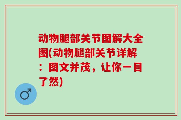 动物腿部关节图解大全图(动物腿部关节详解：图文并茂，让你一目了然)