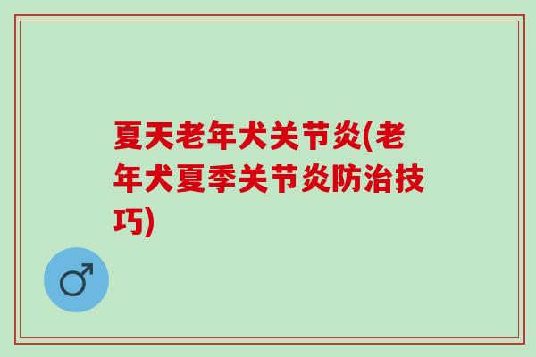 夏天老年犬关节炎(老年犬夏季关节炎防治技巧)