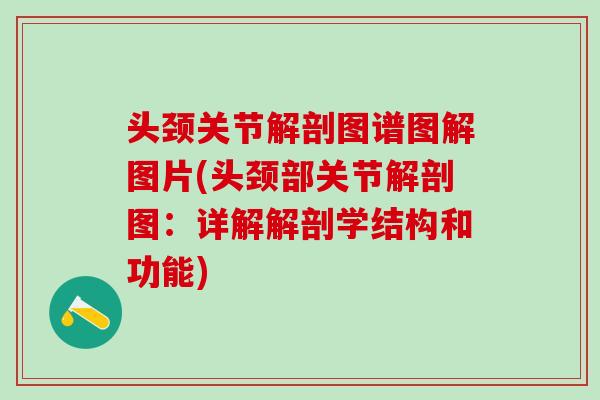 头颈关节解剖图谱图解图片(头颈部关节解剖图：详解解剖学结构和功能)