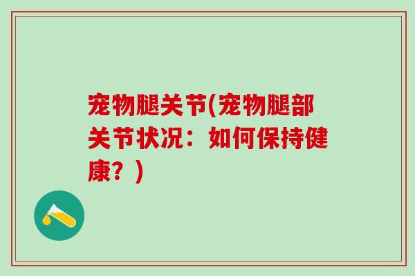 宠物腿关节(宠物腿部关节状况：如何保持健康？)