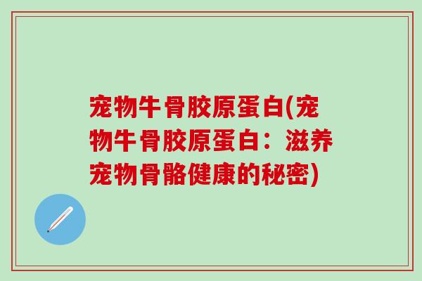 宠物牛骨胶原蛋白(宠物牛骨胶原蛋白：滋养宠物骨骼健康的秘密)