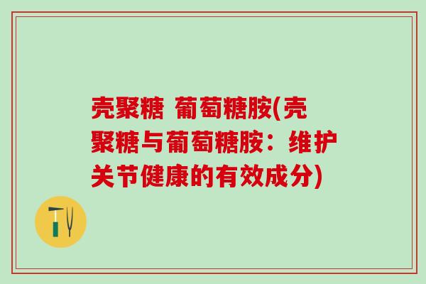壳聚糖 葡萄糖胺(壳聚糖与葡萄糖胺：维护关节健康的有效成分)