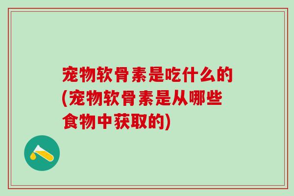 宠物软骨素是吃什么的(宠物软骨素是从哪些食物中获取的)