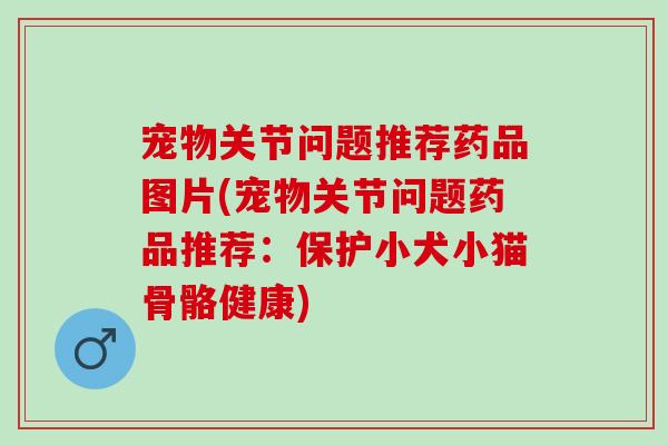 宠物关节问题推荐药品图片(宠物关节问题药品推荐：保护小犬小猫骨骼健康)
