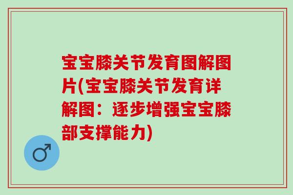 宝宝膝关节发育图解图片(宝宝膝关节发育详解图：逐步增强宝宝膝部支撑能力)