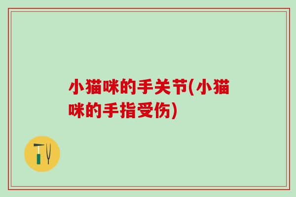 小猫咪的手关节(小猫咪的手指受伤) 小猫咪的手关节(小猫咪的手指受伤)
