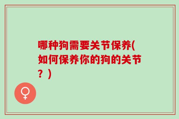 哪种狗需要关节保养(如何保养你的狗的关节？)