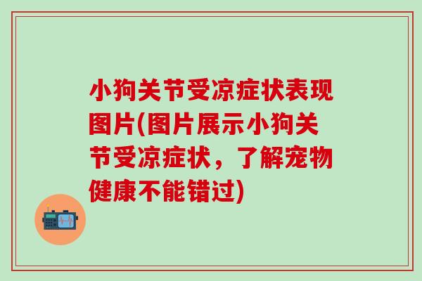 小狗关节受凉症状表现图片(图片展示小狗关节受凉症状，了解宠物健康不能错过)