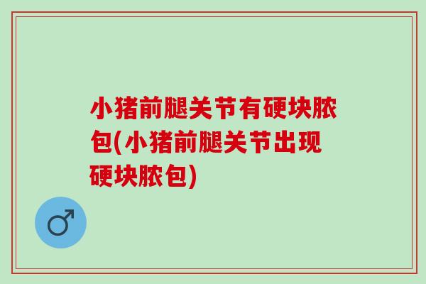 小猪前腿关节有硬块脓包(小猪前腿关节出现硬块脓包) 小猪前腿关节有硬块脓包(小猪前腿关节出现硬块脓包)