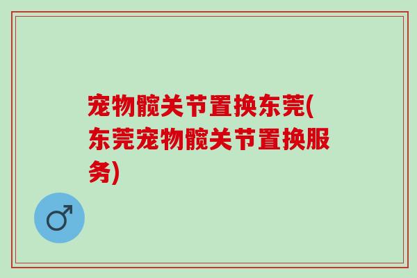 宠物髋关节置换东莞(东莞宠物髋关节置换服务)