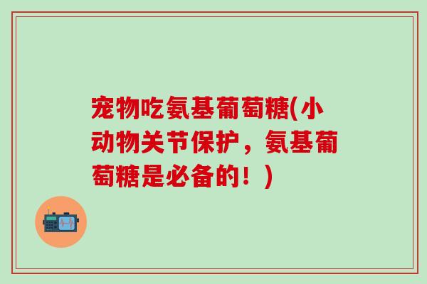 宠物吃氨基葡萄糖(小动物关节保护，氨基葡萄糖是必备的！)