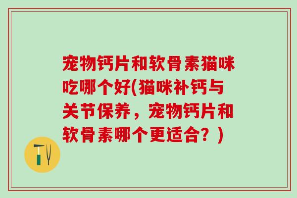 宠物钙片和软骨素猫咪吃哪个好(猫咪补钙与关节保养，宠物钙片和软骨素哪个更适合？)