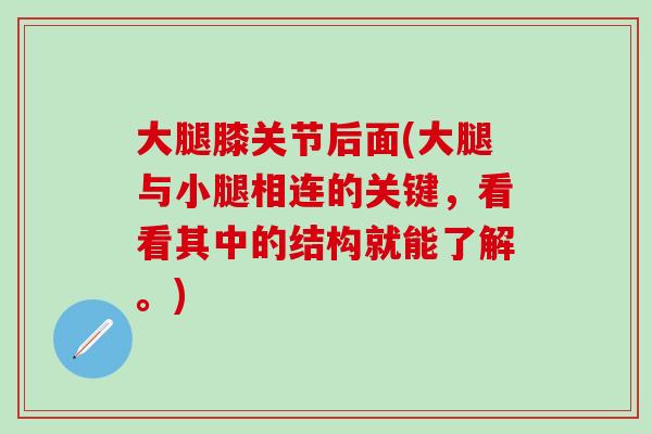 大腿膝关节后面(大腿与小腿相连的关键，看看其中的结构就能了解。)