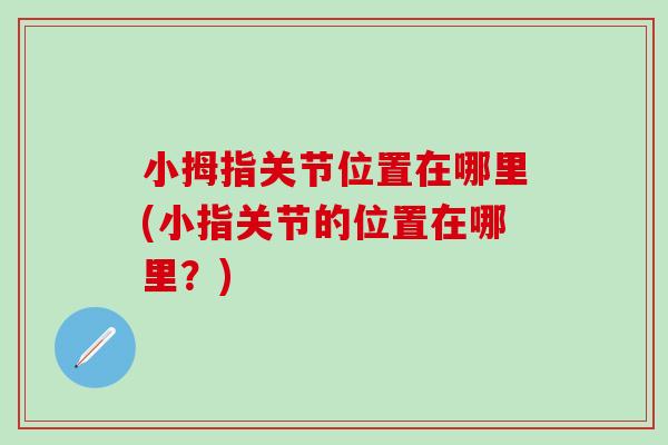 小拇指关节位置在哪里(小指关节的位置在哪里？)