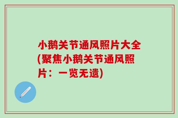 小鹅关节通风照片大全(聚焦小鹅关节通风照片：一览无遗)