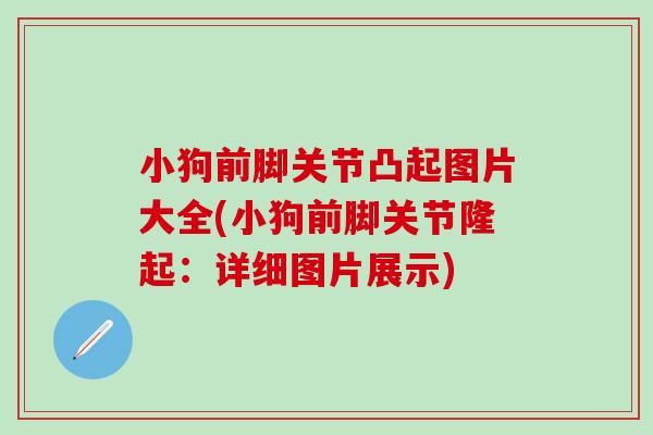 小狗前脚关节凸起图片大全(小狗前脚关节隆起：详细图片展示)