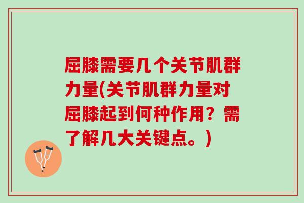 屈膝需要几个关节肌群力量(关节肌群力量对屈膝起到何种作用？需了解几大关键点。)