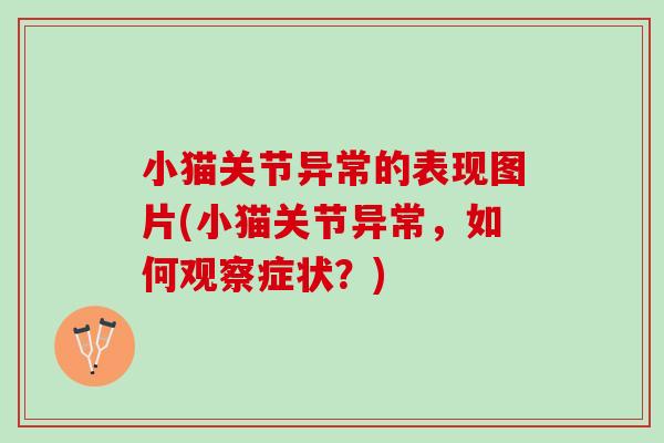 小猫关节异常的表现图片(小猫关节异常,如何观察症状?) 小猫关节异常的表现图片(小猫关节异常,如何观察症状?)
