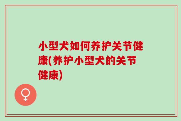 小型犬如何养护关节健康(养护小型犬的关节健康)