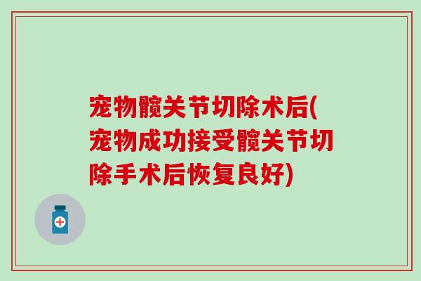 宠物髋关节切除术后(宠物成功接受髋关节切除手术后恢复良好) 宠物髋关节切除术后(宠物成功接受髋关节切除手术后恢复良好)