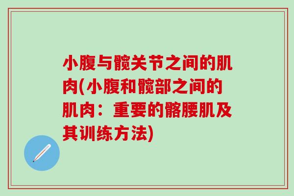 小腹与髋关节之间的肌肉(小腹和髋部之间的肌肉：重要的髂腰肌及其训练方法)