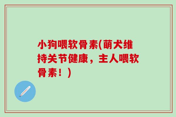 小狗喂软骨素(萌犬维持关节健康，主人喂软骨素！)