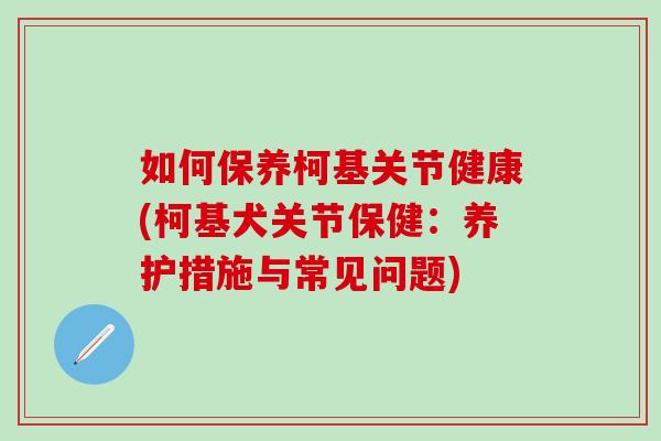 如何保养柯基关节健康(柯基犬关节保健：养护措施与常见问题)