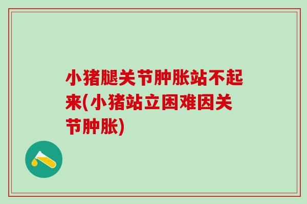 小猪腿关节肿胀站不起来(小猪站立困难因关节肿胀)