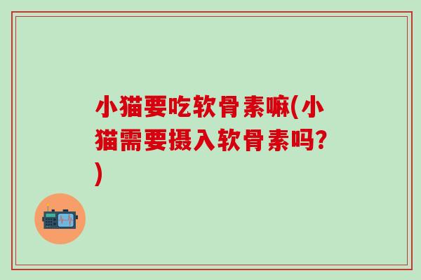 小猫要吃软骨素嘛(小猫需要摄入软骨素吗？)