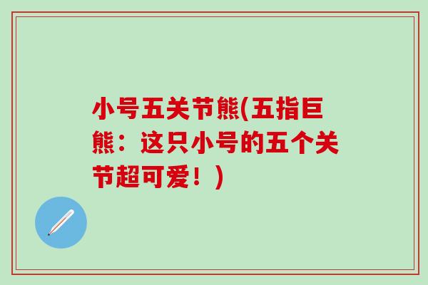 小号五关节熊(五指巨熊：这只小号的五个关节超可爱！)