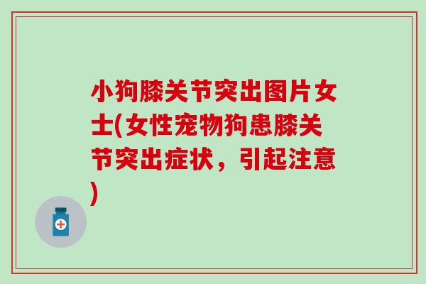 小狗膝关节突出图片女士(女性宠物狗患膝关节突出症状，引起注意)