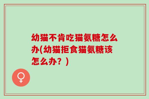 幼猫不肯吃猫氨糖怎么办(幼猫拒食猫氨糖该怎么办？)