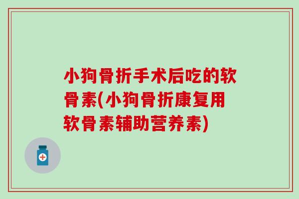 小狗骨折手术后吃的软骨素(小狗骨折康复用软骨素辅助营养素)