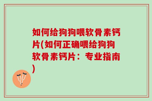 如何给狗狗喂软骨素钙片(如何正确喂给狗狗软骨素钙片：专业指南)