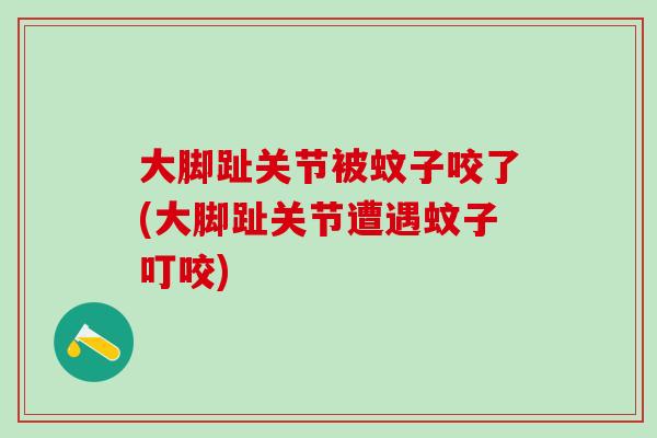 大脚趾关节被蚊子咬了(大脚趾关节遭遇蚊子叮咬)