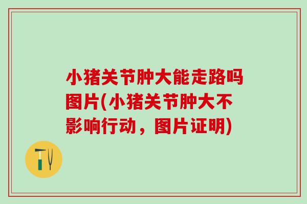 小猪关节肿大能走路吗图片(小猪关节肿大不影响行动，图片证明)