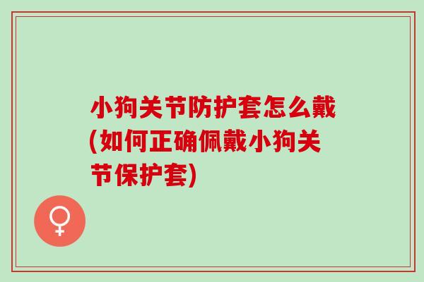 小狗关节防护套怎么戴(如何正确佩戴小狗关节保护套) 小狗关节防护套怎么戴(如何正确佩戴小狗关节保护套)