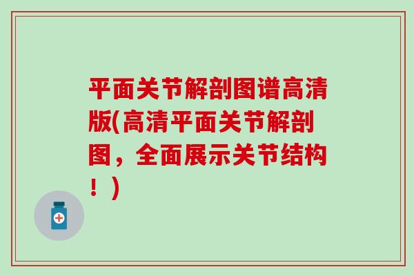平面关节解剖图谱高清版(高清平面关节解剖图，全面展示关节结构！)