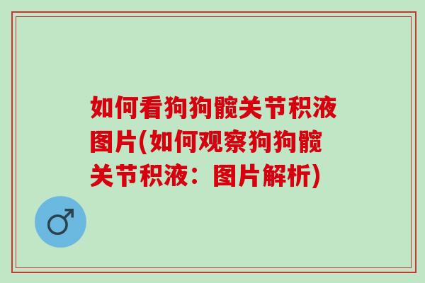 如何看狗狗髋关节积液图片(如何观察狗狗髋关节积液：图片解析)
