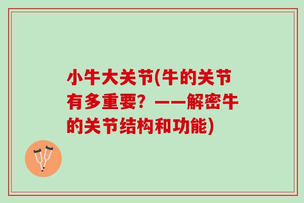 小牛大关节(牛的关节有多重要？——解密牛的关节结构和功能)
